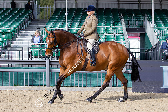 Royal Windsor Horse Show