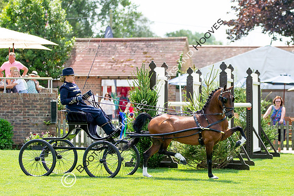 The Prenetics Royal International Horse Show