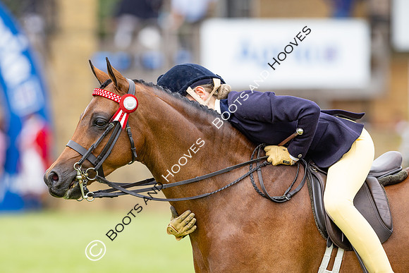 The Agria Royal International Horse Show