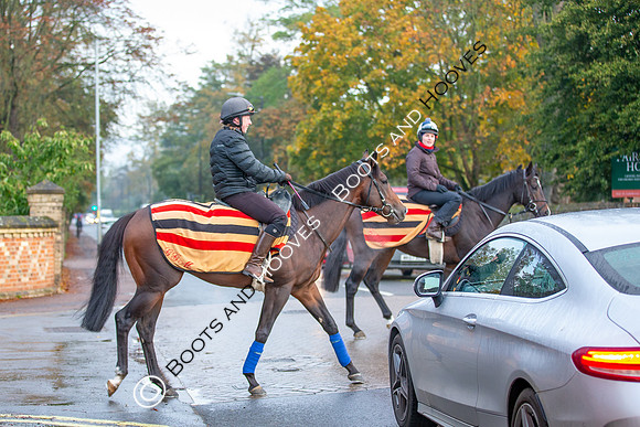 Newmarket