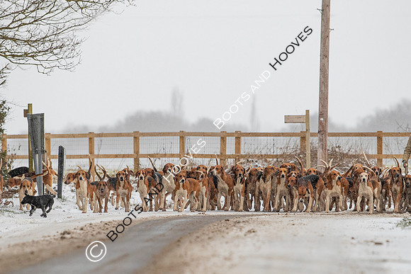 Hound Exercise