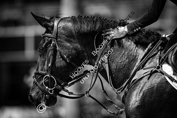 FEI Junior European Championship Young Riders, Juniors & Childre
