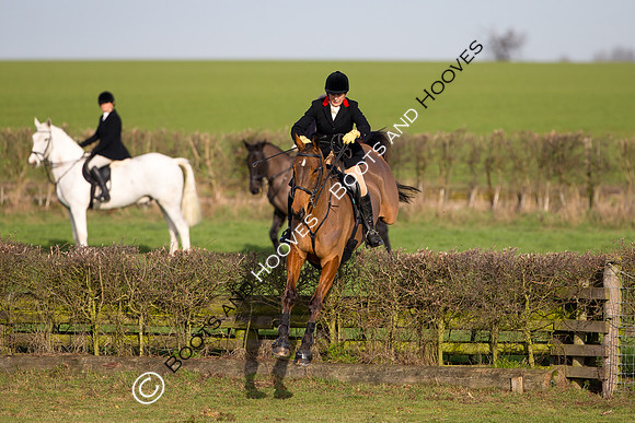 East Essex Hunt. Ladies Day. 29/01/2019 ~ MANDATORY Credit Elli Birch/Bootsandhooves - NO UNAUTHORISED USE - 07745 909676