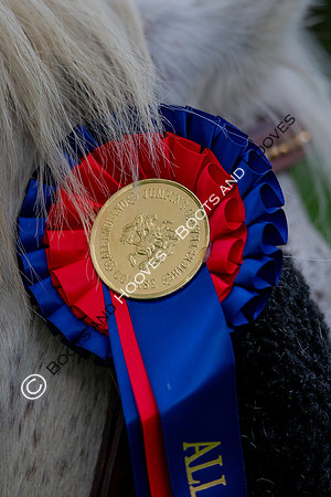 Science Supplements All England Jumping Championships