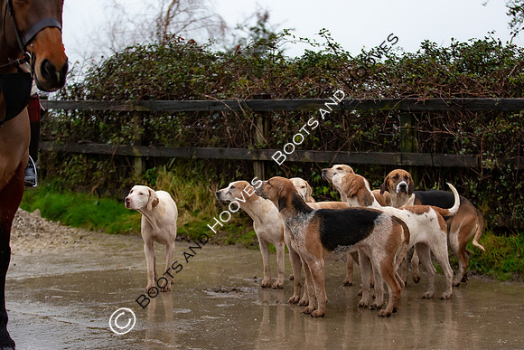 Hunting