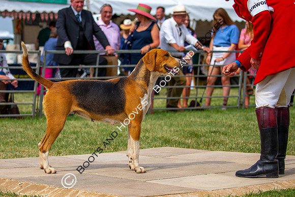 Festival of Hunting