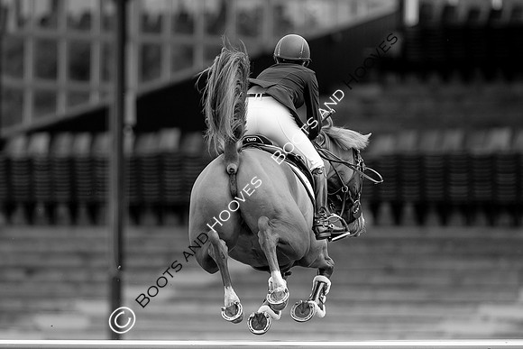 Science Supplements All England Jumping Championships