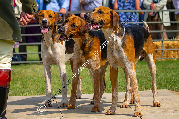 Festival of Hunting