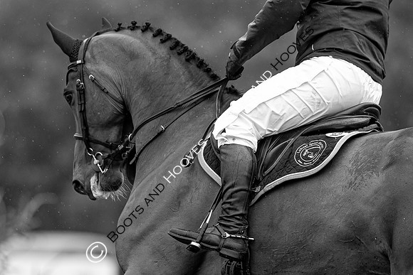 The Prenetics Royal International Horse Show