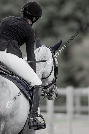 Science Supplements All England Jumping Championships