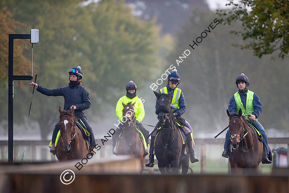 Newmarket