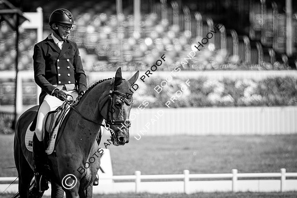 Badminton Horse Trials