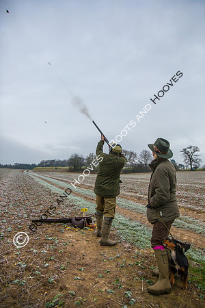 Dines Hall Game Shoot. 23/01/2019 ~ MANDATORY Credit Nick Gunn/Bootsandhooves - NO UNAUTHORISED USE - 07745 909676