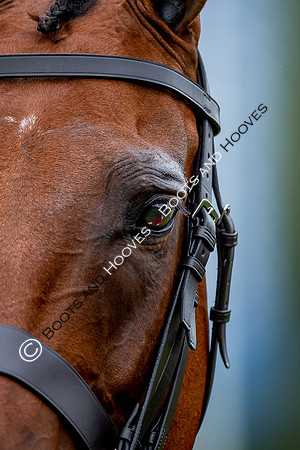 The Longines Royal International Horse Show