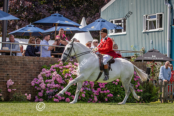The AGRIA Royal International Horse Show