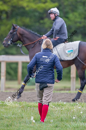Newmarket Gallops