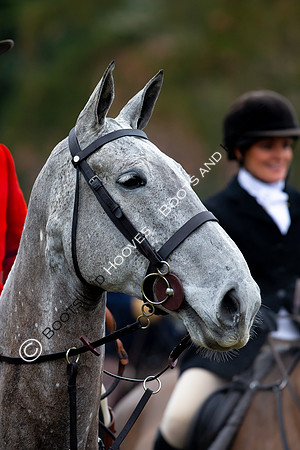 Boxing Day Meet