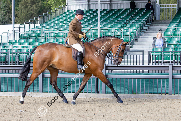 Royal Windsor Horse Show