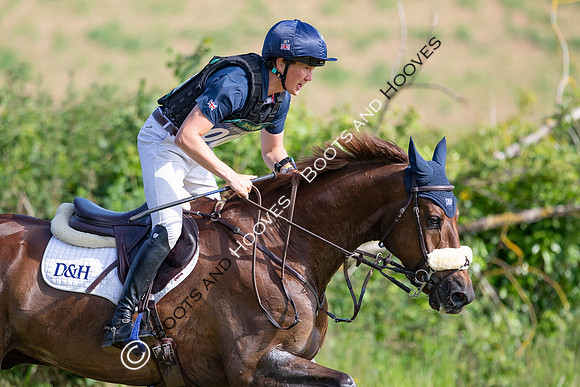 Bicton International Horse Trials supported by Chedington