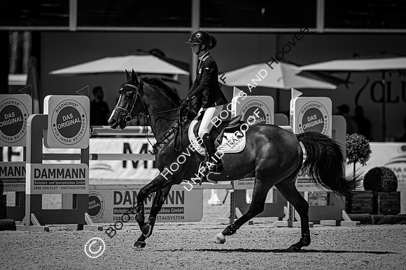FEI Junior European Championship Young Riders, Juniors & Childre