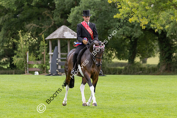 The Royal International Horse Show