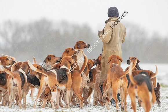 Hound Exercise