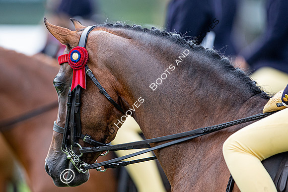 The Prenetics Royal International Horse Show