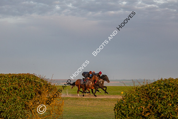 Newmarket Gallops