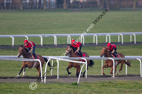 Newmarket Gallops