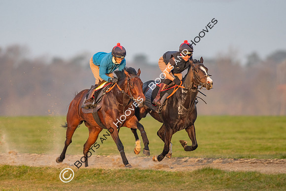 Newmarket Gallops