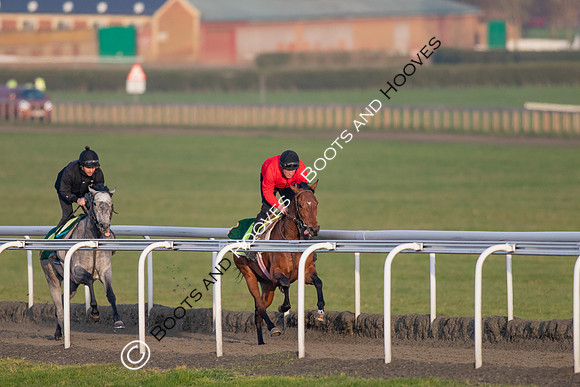Newmarket Gallops