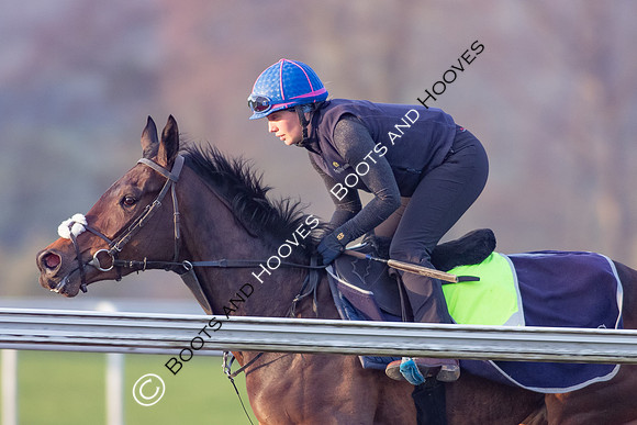 Newmarket Gallops