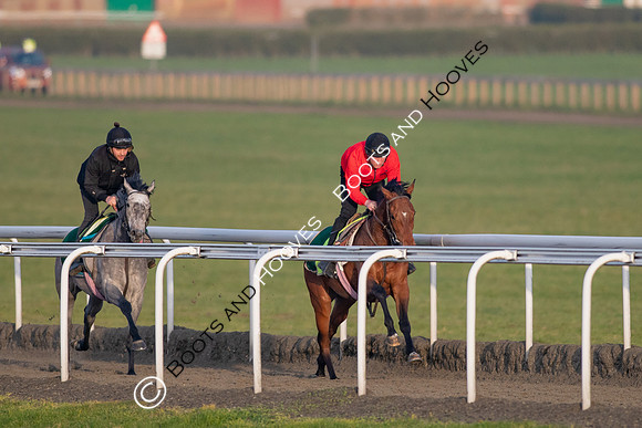 Newmarket Gallops