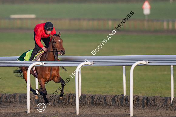 Newmarket Gallops
