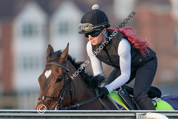 Newmarket Gallops