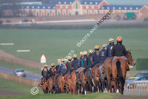 Newmarket Gallops