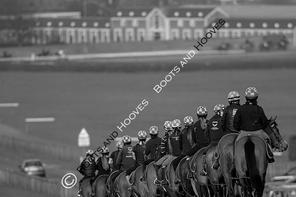 Newmarket Gallops