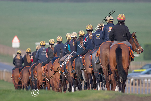Newmarket Gallops