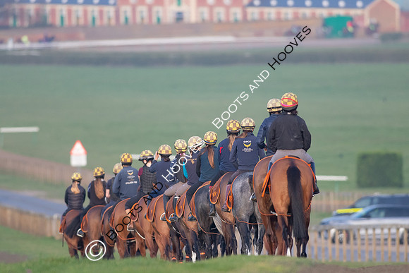 Newmarket Gallops