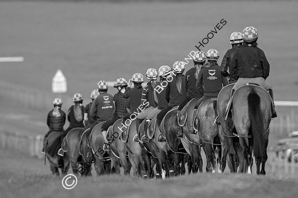 Newmarket Gallops