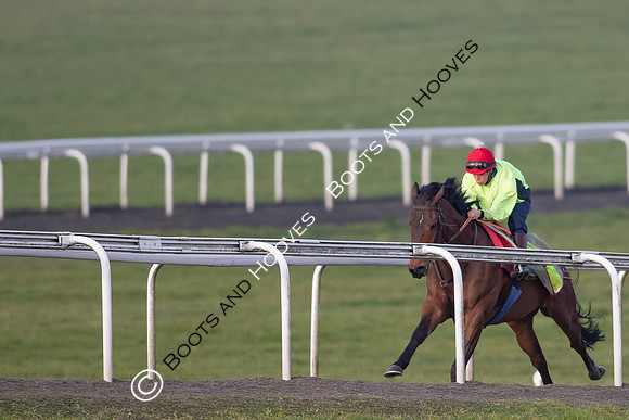 Newmarket Gallops