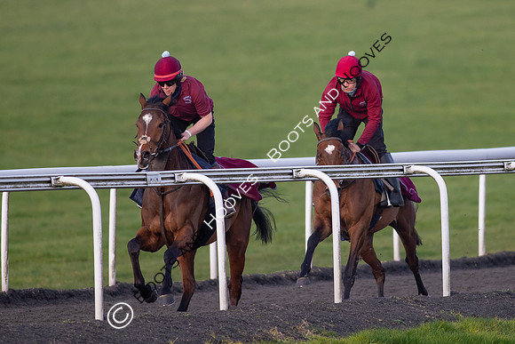 Newmarket Gallops