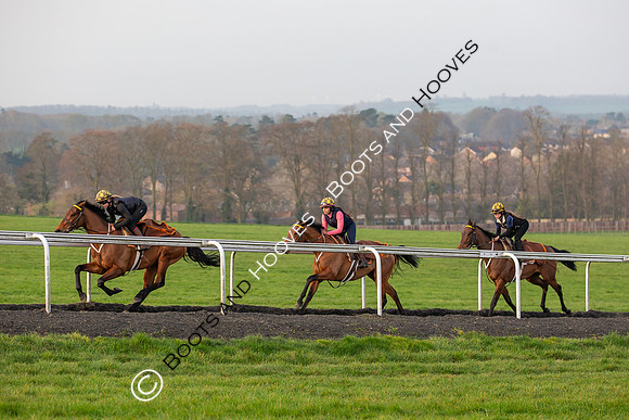 Newmarket Gallops