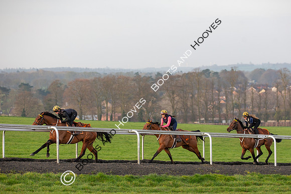Newmarket Gallops