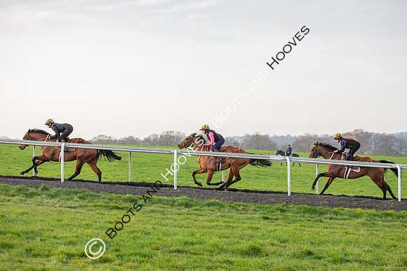 Newmarket Gallops