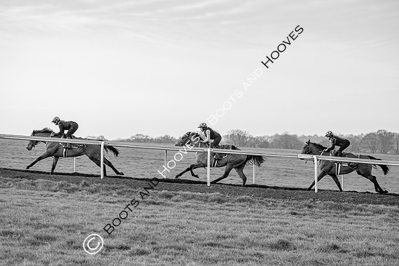 Newmarket Gallops