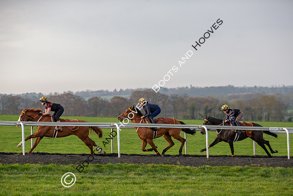 Newmarket Gallops