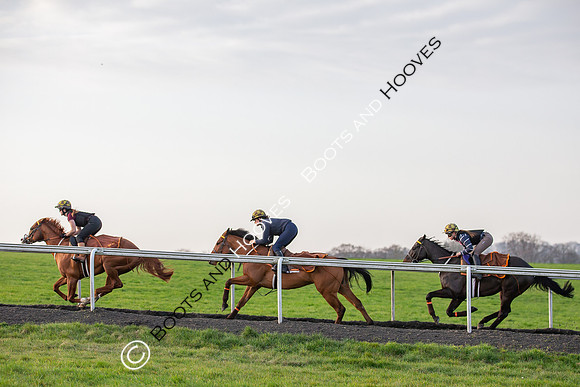 Newmarket Gallops