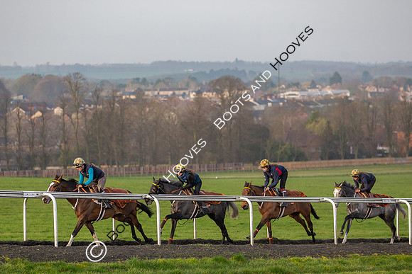 Newmarket Gallops
