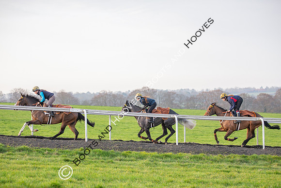 Newmarket Gallops